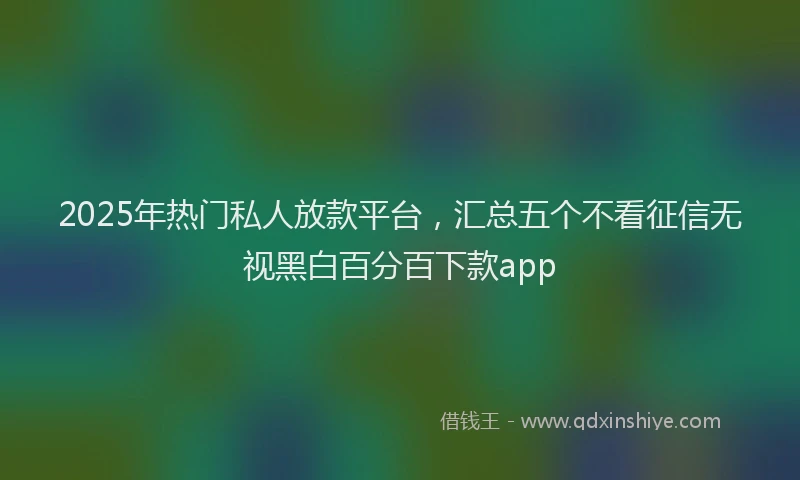 2025年热门私人放款平台，汇总五个不看征信无视黑白百分百下款app