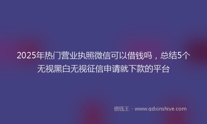 2025年热门营业执照微信可以借钱吗，总结5个无视黑白无视征信申请就下款的平台