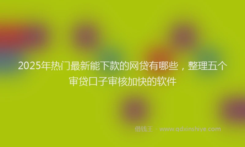 2025年热门最新能下款的网贷有哪些，整理五个审贷口子审核加快的软件