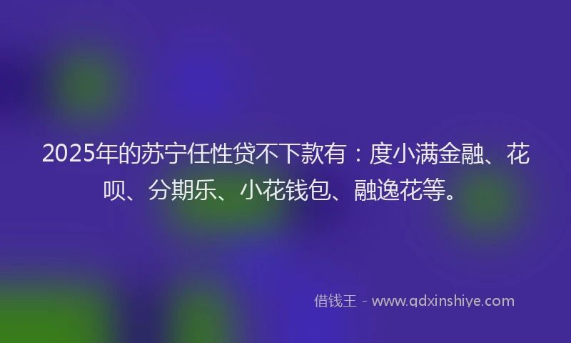 2025年的苏宁任性贷不下款有：度小满金融、花呗、分期乐、小花钱包、融逸花等。