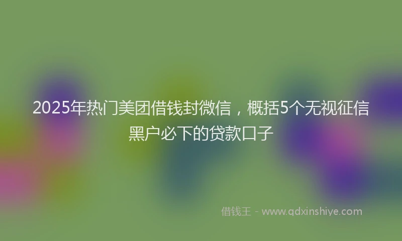 2025年热门美团借钱封微信，概括5个无视征信黑户必下的贷款口子