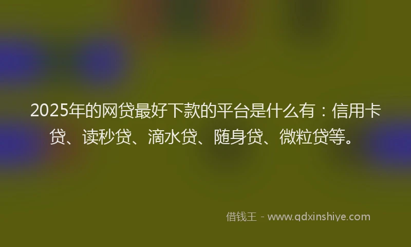 2025年的网贷最好下款的平台是什么有：信用卡贷、读秒贷、滴水贷、随身贷、微粒贷等。