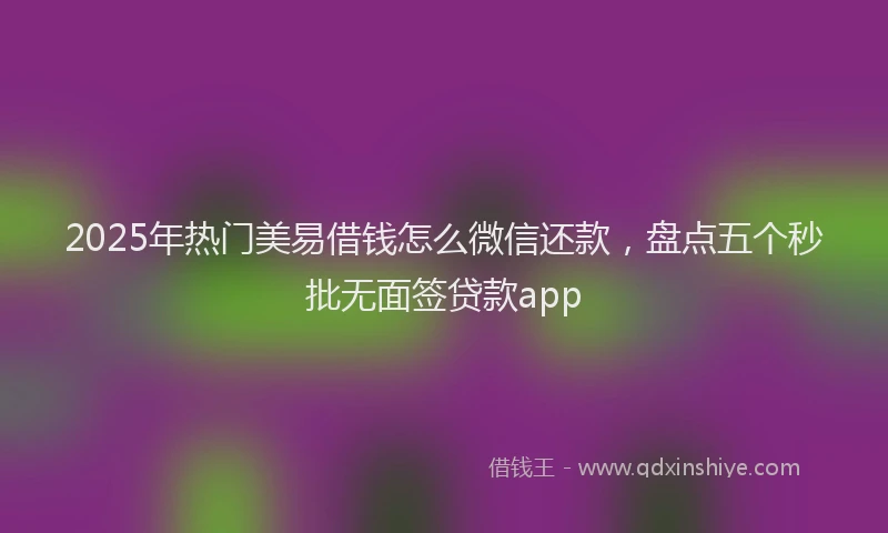 2025年热门美易借钱怎么微信还款，盘点五个秒批无面签贷款app