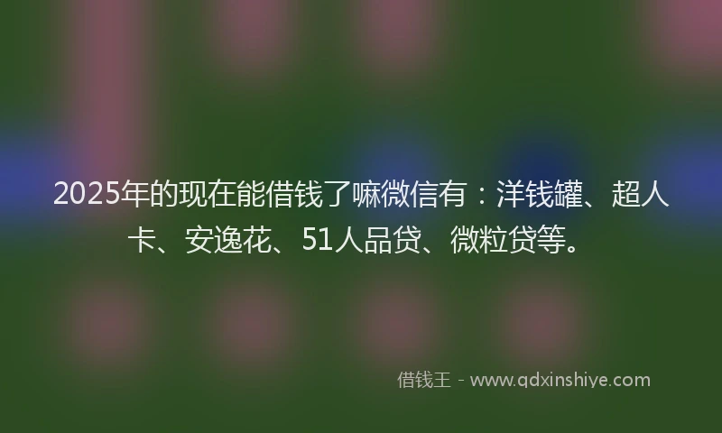 2025年的现在能借钱了嘛微信有：洋钱罐、超人卡、安逸花、51人品贷、微粒贷等。