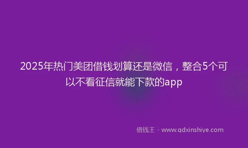 2025年热门美团借钱划算还是微信，整合5个可以不看征信就能下款的app