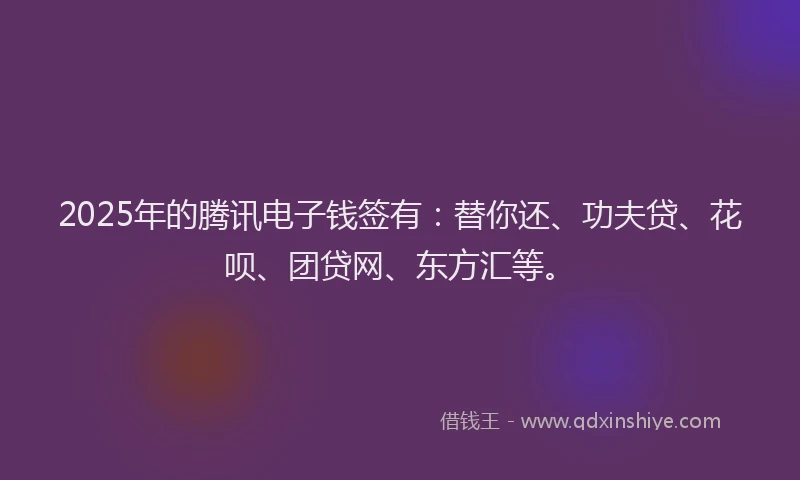 2025年的腾讯电子钱签有：替你还、功夫贷、花呗、团贷网、东方汇等。