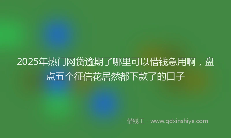 2025年热门网贷逾期了哪里可以借钱急用啊，盘点五个征信花居然都下款了的口子