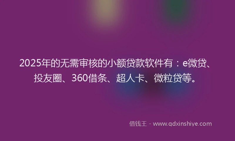 2025年的无需审核的小额贷款软件有：e微贷、投友圈、360借条、超人卡、微粒贷等。