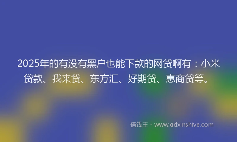 2025年的有没有黑户也能下款的网贷啊有：小米贷款、我来贷、东方汇、好期贷、惠商贷等。