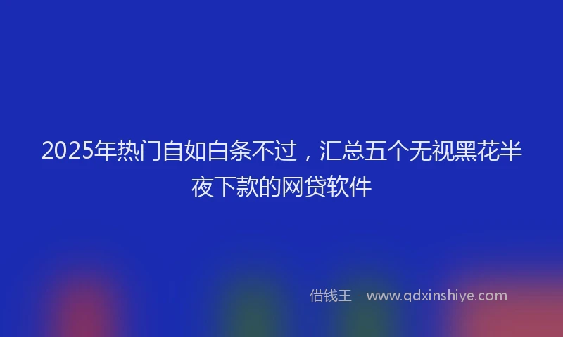 2025年热门自如白条不过，汇总五个无视黑花半夜下款的网贷软件