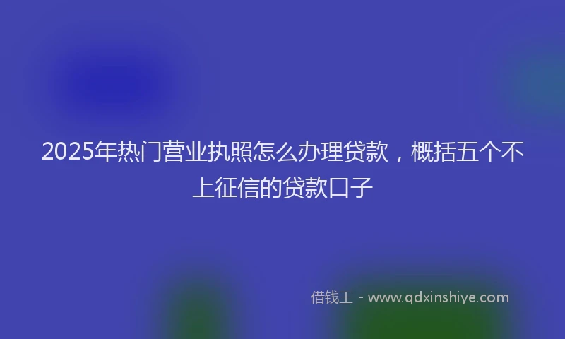 2025年热门营业执照怎么办理贷款，概括五个不上征信的贷款口子