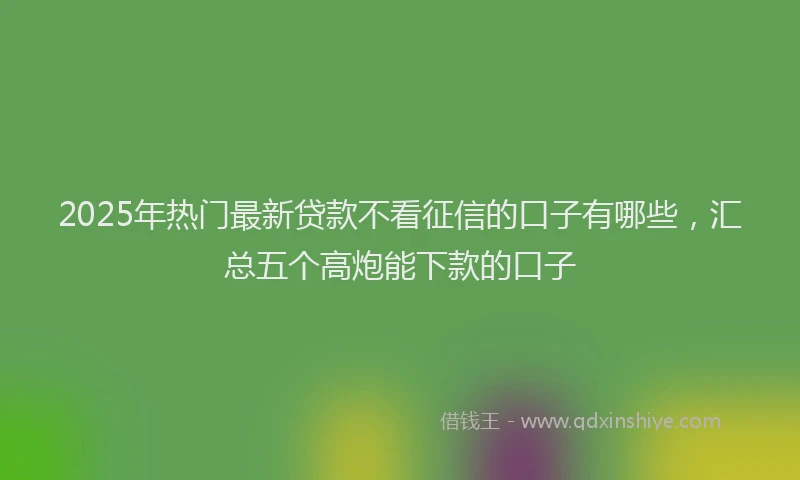 2025年热门最新贷款不看征信的口子有哪些，汇总五个高炮能下款的口子