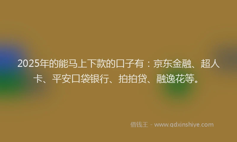 2025年的能马上下款的口子有：京东金融、超人卡、平安口袋银行、拍拍贷、融逸花等。