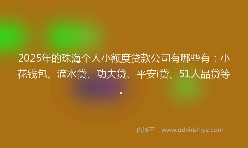 2025年的珠海个人小额度贷款公司有哪些有：小花钱包、滴水贷、功夫贷、平安i贷、51人品贷等。