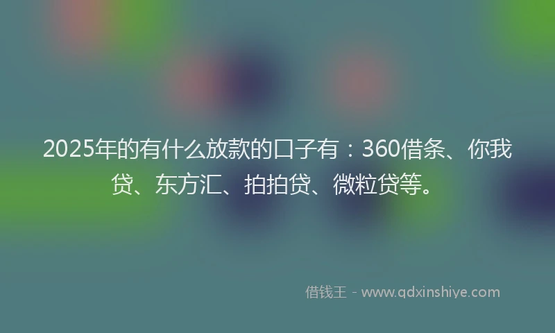2025年的有什么放款的口子有：360借条、你我贷、东方汇、拍拍贷、微粒贷等。
