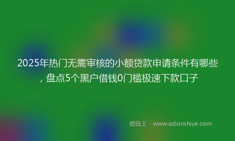 2025年热门无需审核的小额贷款申请条件有哪些，盘点5个黑户借钱0门槛极速下款口子