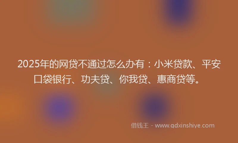 2025年的网贷不通过怎么办有：小米贷款、平安口袋银行、功夫贷、你我贷、惠商贷等。