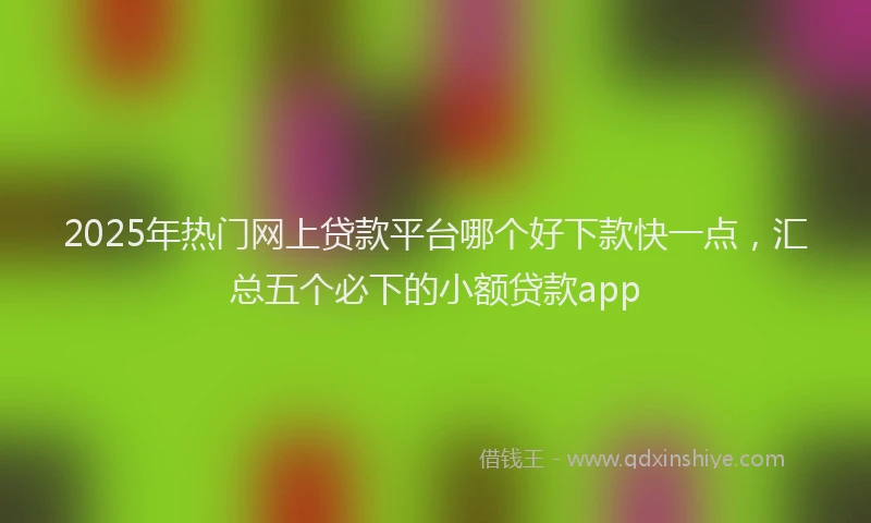 2025年热门网上贷款平台哪个好下款快一点，汇总五个必下的小额贷款app