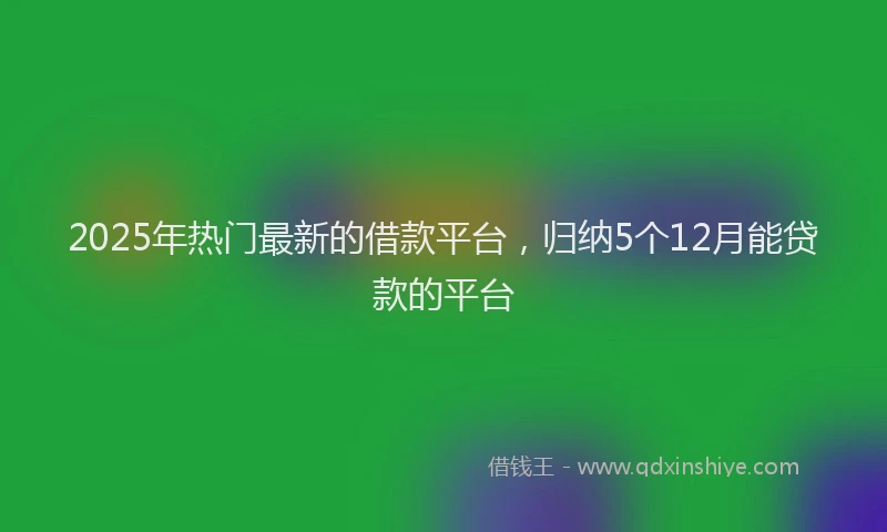 2025年热门最新的借款平台，归纳5个12月能贷款的平台