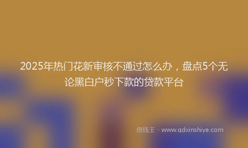 2025年热门花新审核不通过怎么办，盘点5个无论黑白户秒下款的贷款平台