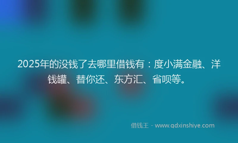 2025年的没钱了去哪里借钱有：度小满金融、洋钱罐、替你还、东方汇、省呗等。