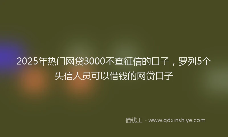 2025年热门网贷3000不查征信的口子，罗列5个失信人员可以借钱的网贷口子