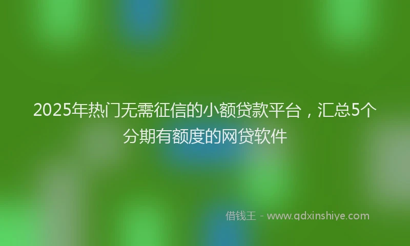 2025年热门无需征信的小额贷款平台，汇总5个分期有额度的网贷软件