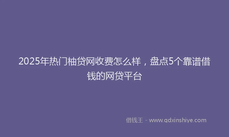 2025年热门柚贷网收费怎么样，盘点5个靠谱借钱的网贷平台