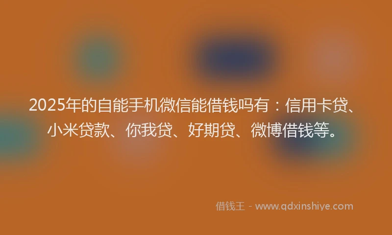2025年的自能手机微信能借钱吗有：信用卡贷、小米贷款、你我贷、好期贷、微博借钱等。