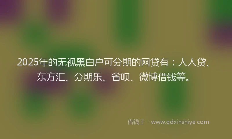2025年的无视黑白户可分期的网贷有：人人贷、东方汇、分期乐、省呗、微博借钱等。