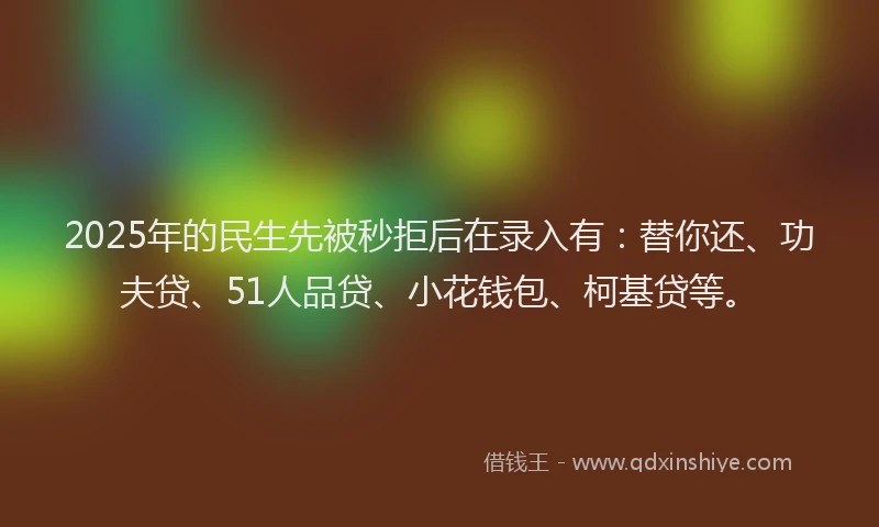 2025年的民生先被秒拒后在录入有：替你还、功夫贷、51人品贷、小花钱包、柯基贷等。