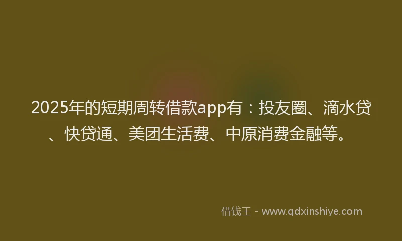 2025年的短期周转借款app有：投友圈、滴水贷、快贷通、美团生活费、中原消费金融等。