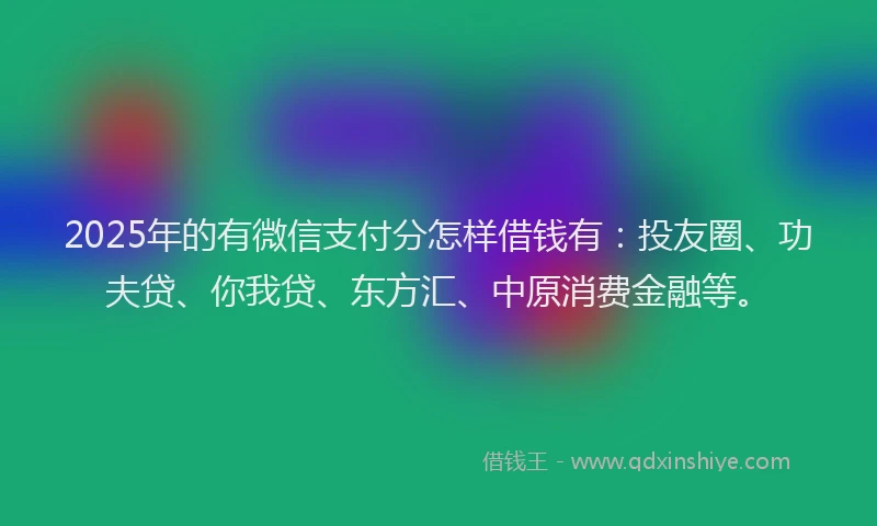 2025年的有微信支付分怎样借钱有：投友圈、功夫贷、你我贷、东方汇、中原消费金融等。
