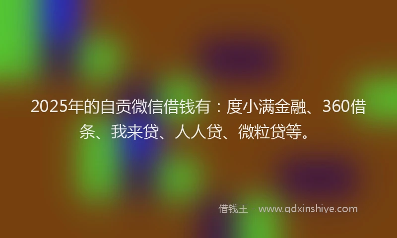 2025年的自贡微信借钱有：度小满金融、360借条、我来贷、人人贷、微粒贷等。
