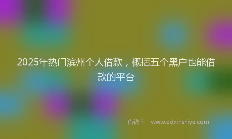 2025年热门滨州个人借款，概括五个黑户也能借款的平台