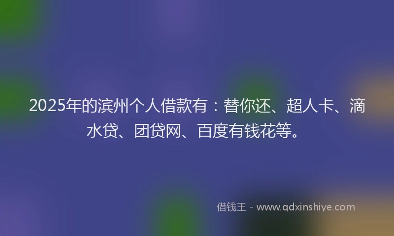 2025年的滨州个人借款有：替你还、超人卡、滴水贷、团贷网、百度有钱花等。