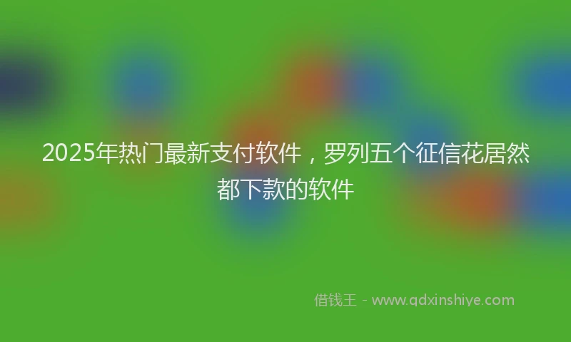 2025年热门最新支付软件，罗列五个征信花居然都下款的软件