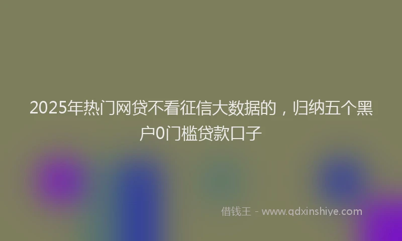 2025年热门网贷不看征信大数据的，归纳五个黑户0门槛贷款口子