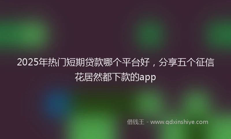 2025年热门短期贷款哪个平台好，分享五个征信花居然都下款的app