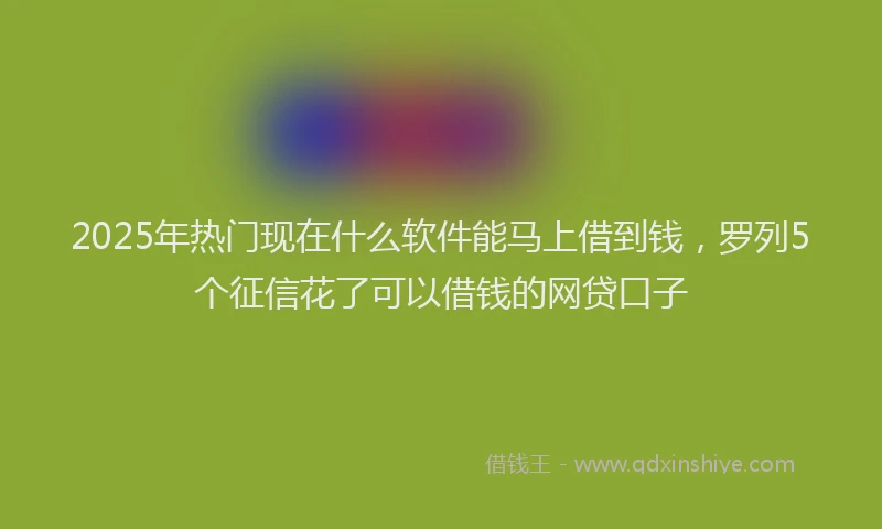 2025年热门现在什么软件能马上借到钱，罗列5个征信花了可以借钱的网贷口子