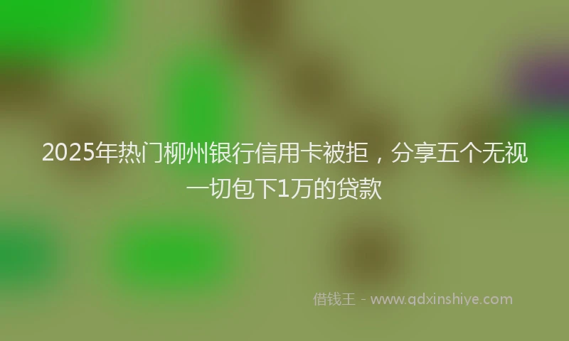 2025年热门柳州银行信用卡被拒，分享五个无视一切包下1万的贷款
