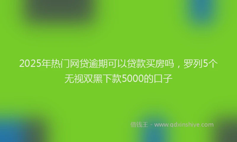2025年热门网贷逾期可以贷款买房吗，罗列5个无视双黑下款5000的口子