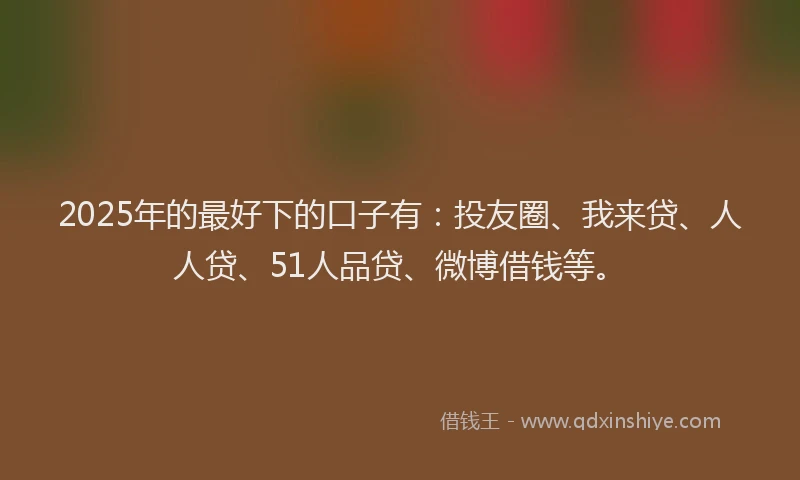 2025年的最好下的口子有：投友圈、我来贷、人人贷、51人品贷、微博借钱等。