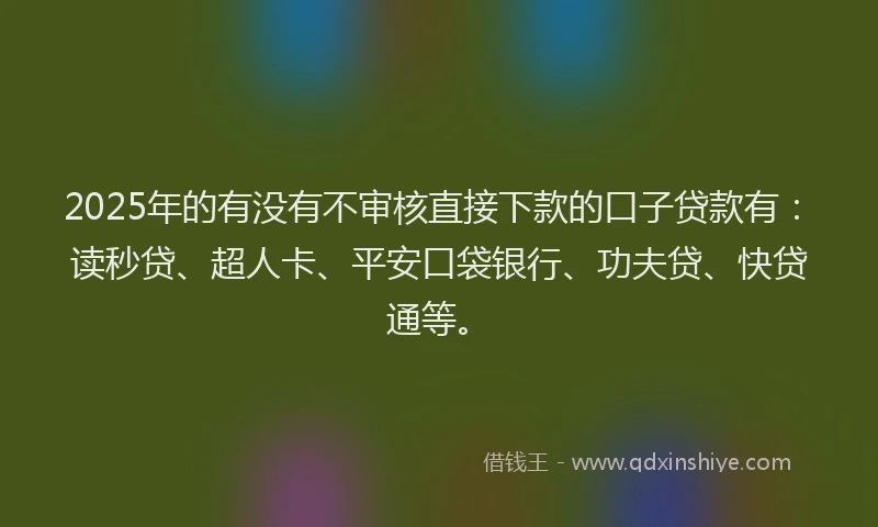 2025年的有没有不审核直接下款的口子贷款有：读秒贷、超人卡、平安口袋银行、功夫贷、快贷通等。