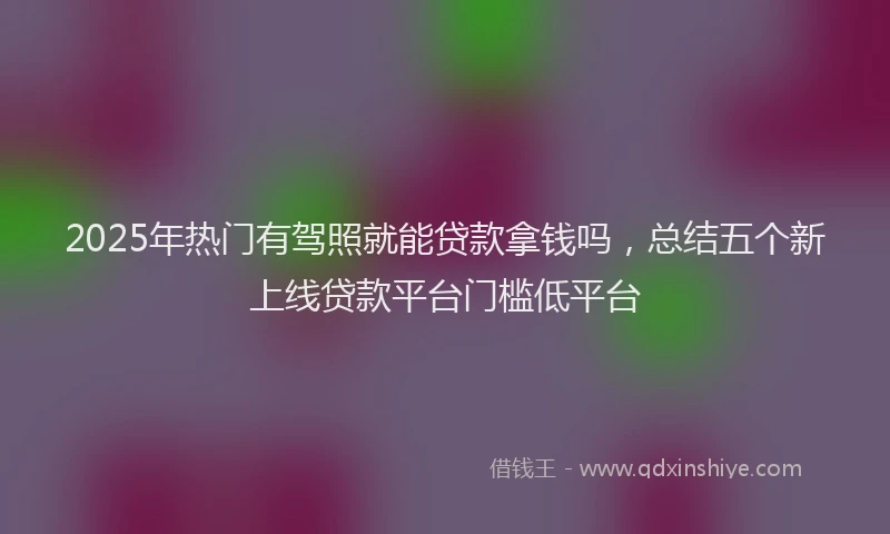 2025年热门有驾照就能贷款拿钱吗，总结五个新上线贷款平台门槛低平台