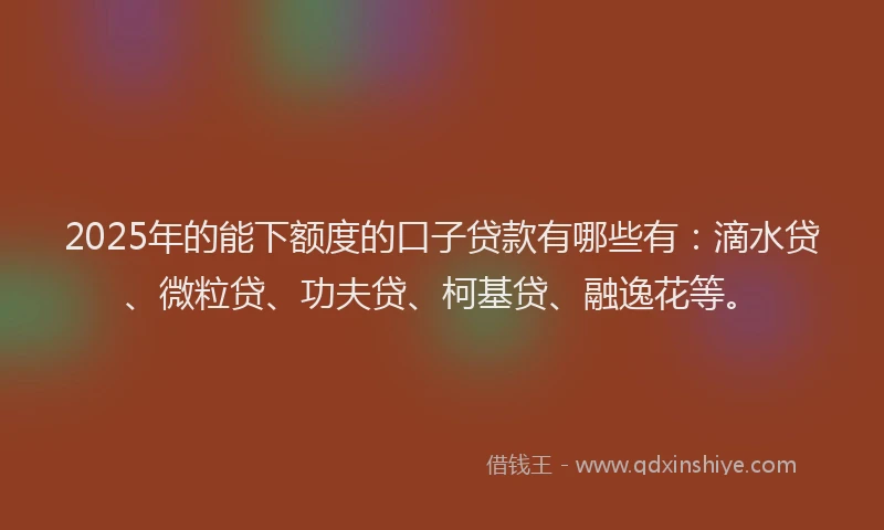 2025年的能下额度的口子贷款有哪些有：滴水贷、微粒贷、功夫贷、柯基贷、融逸花等。