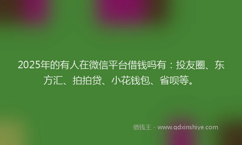 2025年的有人在微信平台借钱吗有：投友圈、东方汇、拍拍贷、小花钱包、省呗等。