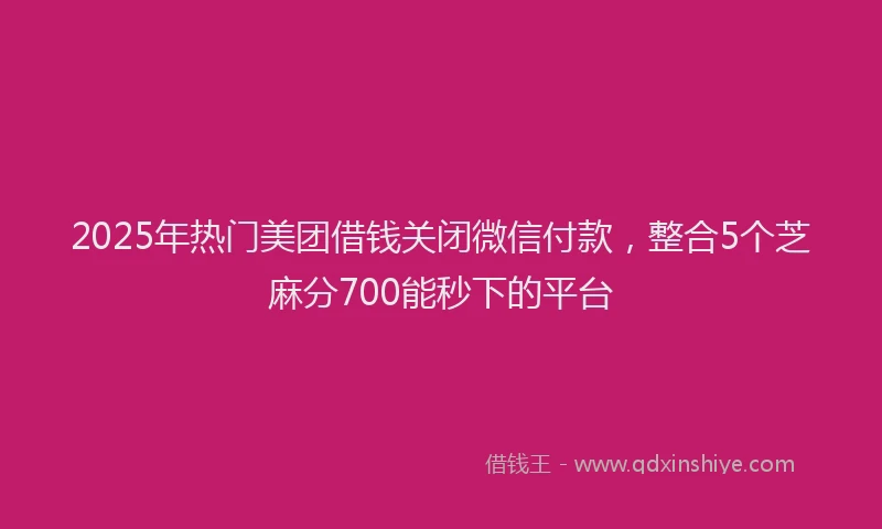2025年热门美团借钱关闭微信付款，整合5个芝麻分700能秒下的平台