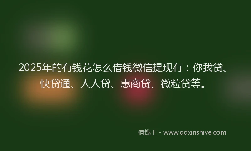 2025年的有钱花怎么借钱微信提现有：你我贷、快贷通、人人贷、惠商贷、微粒贷等。