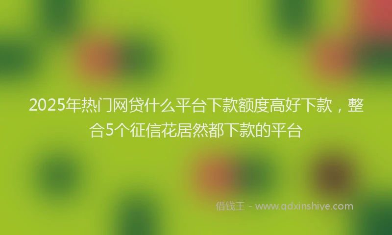 2025年热门网贷什么平台下款额度高好下款，整合5个征信花居然都下款的平台
